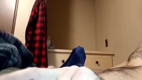 Pussyluver520 online show from 19, 7, 2026