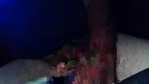 Snapshot of pyrichar31 chatting on 4, 11, 2025 pyrichar31 online show from 4, 11, 2025