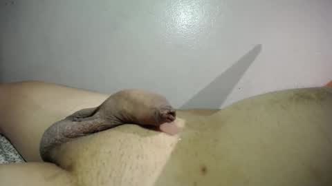 qqqwer21 online show from 26, 3, 2026