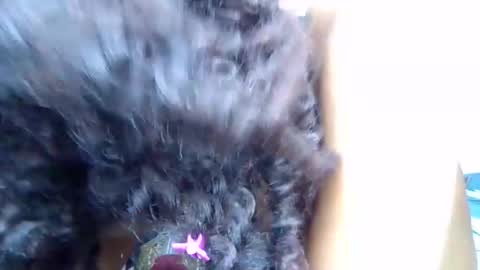 Snapshot of quincy_bby1 chatting on 28, 3, 2026 Quincy online show from 28, 3, 2026