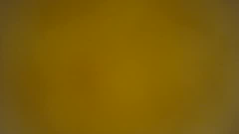 quinnxx online show from 24, 3, 2026