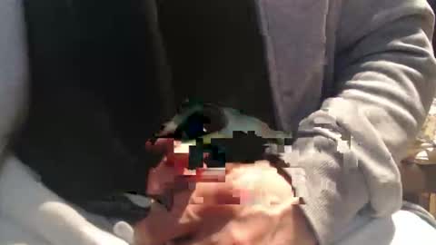 Raccoon68 online show from 8, 4, 2026