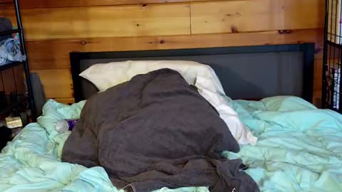 Rachel Price online show from 2, 3, 2025