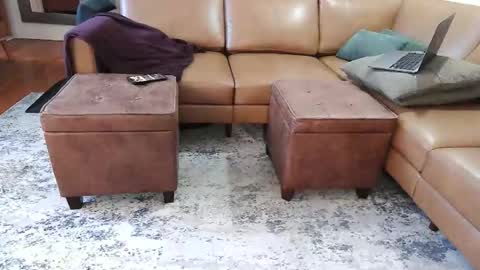 Snapshot of raffertynow chatting on 7, 2, 2026 DressSock Shoe online show from 7, 2, 2026