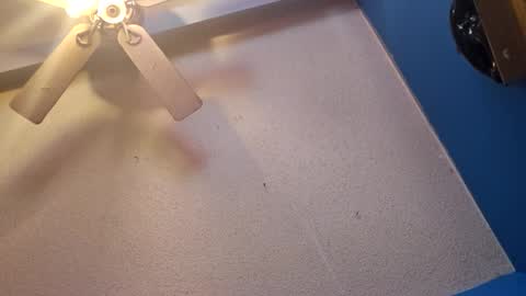 Randcandy77 online show from 11, 11, 2025