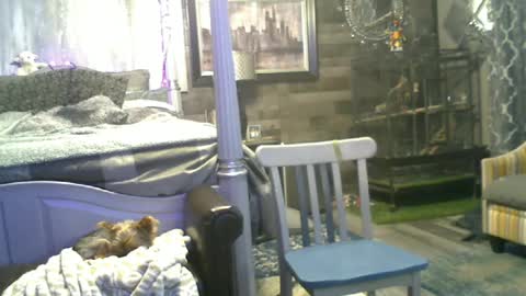 Snapshot of randybater8in chatting on 15, 6, 2026 Randy8inbater online show from 15, 6, 2026