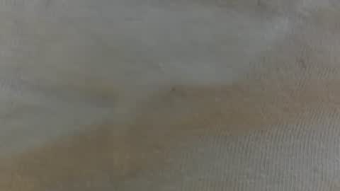 Snapshot of randytoy chatting on 29, 6, 2026 randytoy online show from 29, 6, 2026