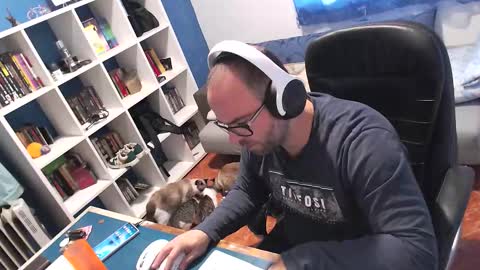 ravingr3d3 online show from 11, 11, 2025