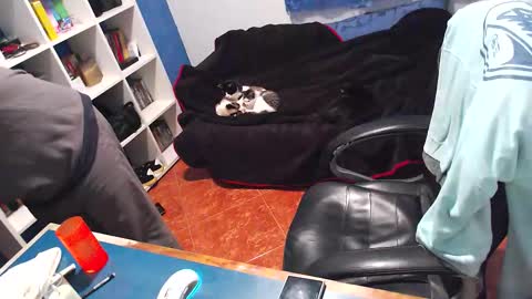 ravingr3d3 online show from 21, 12, 2025