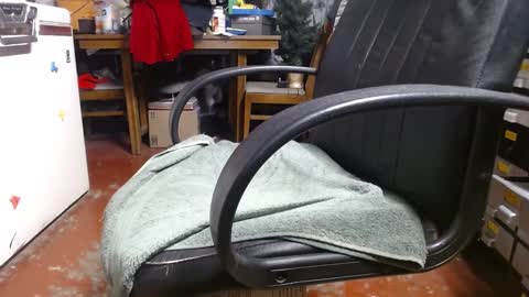 Ray online show from 22, 12, 2024