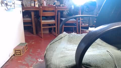 Ray online show from 4, 1, 2025