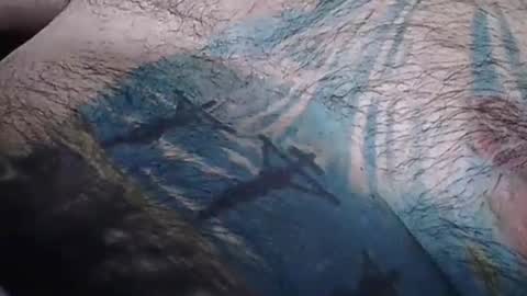 realrubpirate online show from 5, 2, 2026