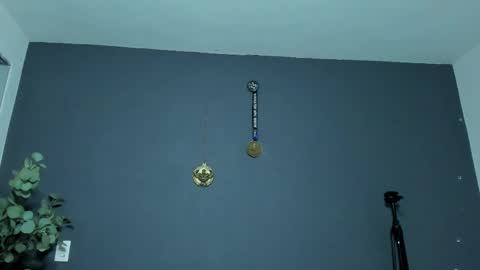 twitter REECET26 instagram RECCETAYLOR online show from 26, 2, 2026