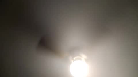 red24devils online show from 4, 1, 2025