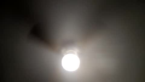 red24devils online show from 16, 1, 2025