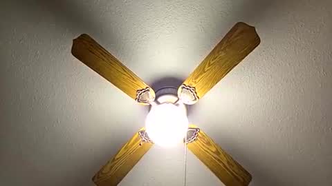 red24devils online show from 21, 11, 2025