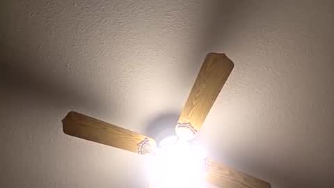 red24devils online show from 3, 12, 2025