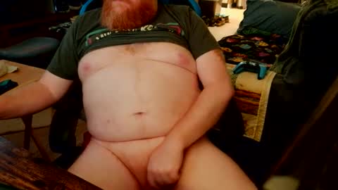 red_sea_bear online show from 24, 5, 2026