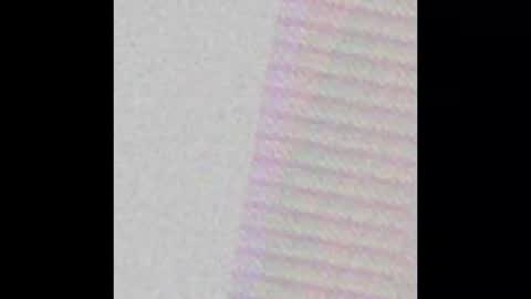 shy online show from 2, 11, 2025