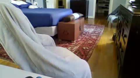 Snapshot of regularguynola chatting on 24, 1, 2025 RegularGuyNOLA online show from 24, 1, 2025