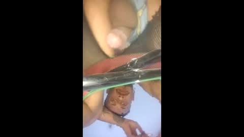 renomexxx online show from 5, 4, 2026