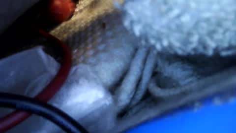 Snapshot of rgglen986 chatting on 14, 2, 2026 rgglen986 online show from 14, 2, 2026