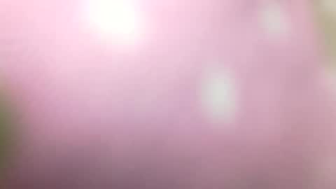 Shaved cock ready online show from 1, 1, 2025