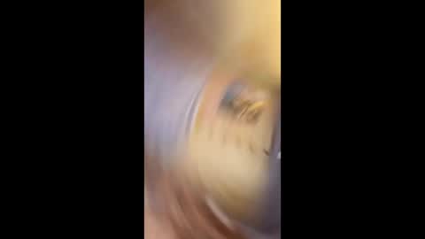 Gunman online show from 15, 2, 2026