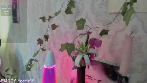 My name is Riley Like my broadcast pls 3 online show from 25, 7, 2026