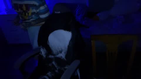   DianaBrite            fansl y online show from 17, 12, 2024