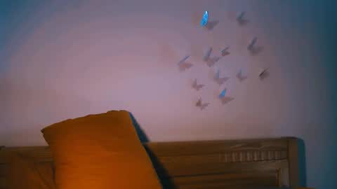 Rita online show from 14, 2, 2026