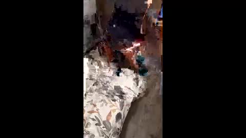 riveraizhim online show from 15, 2, 2026