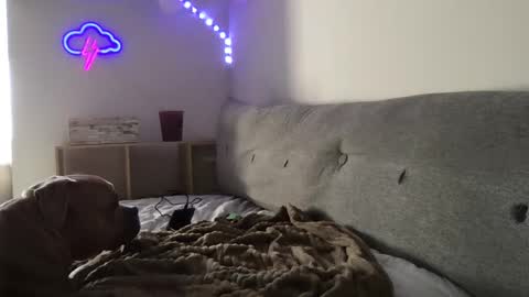 RoastingCorn online show from 3, 1, 2025