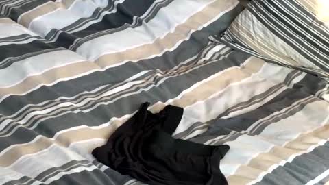 rob616580 online show from 13, 1, 2026