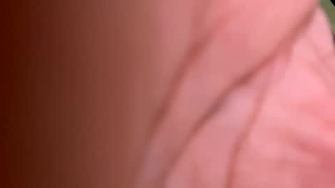 roberto925 online show from 10, 1, 2025