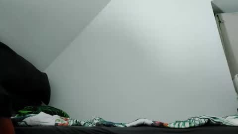 Snapshot of robertxxxpo chatting on 2, 10, 2025 Zenek online show from 2, 10, 2025