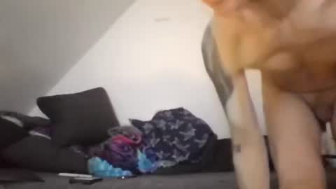 Snapshot of robertxxxpo chatting on 26, 2, 2026 Zenek online show from 26, 2, 2026