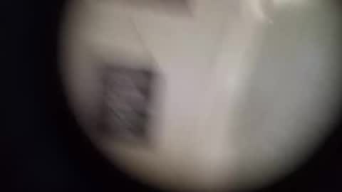 robinouhot online show from 12, 4, 2026