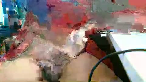 Rocco  aka DaddyRoc online show from 1, 3, 2026