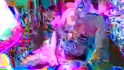 rocky082288 online show from 8, 12, 2024