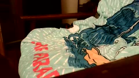 Snapshot of rogerrush chatting on 15, 11, 2025 rogerrush online show from 15, 11, 2025