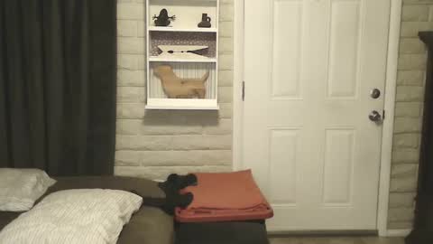 Snapshot of roinaz chatting on 25, 1, 2025 roinaz online show from 25, 1, 2025