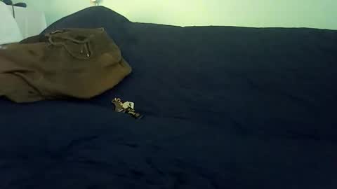 Snapshot of rojo22712 chatting on 25, 2, 2026 Mr. Red online show from 25, 2, 2026