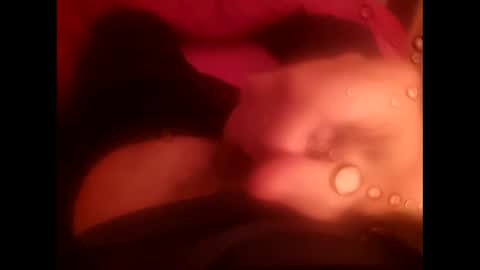 rollino83 online show from 17, 12, 2025