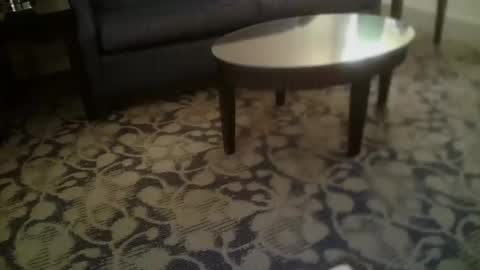 ronin098 online show from 23, 4, 2026