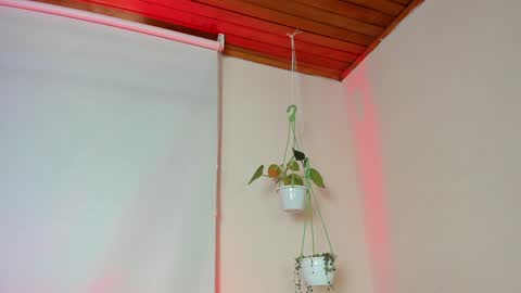 Lyla OF roselinedior online show from 4, 2, 2025