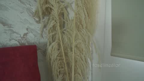 Lyla OF roselinedior online show from 1, 12, 2025