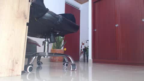 Rouse online show from 26, 3, 2026