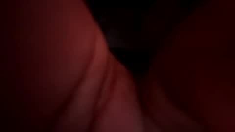 Snapshot of royal_sf chatting on 15, 12, 2024 Royal SF online show from 15, 12, 2024