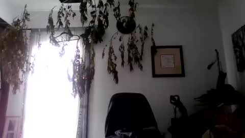 Snapshot of royboy2561 chatting on 10, 10, 2025 Roy Murrin online show from 10, 10, 2025